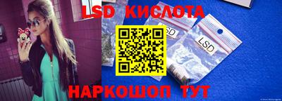 спиды Кингисепп