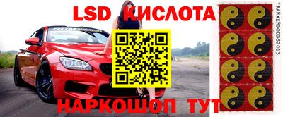 спиды Кингисепп