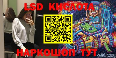 спиды Кингисепп