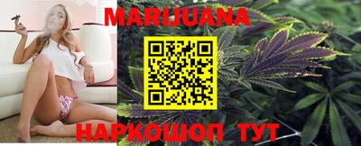 спиды Кингисепп