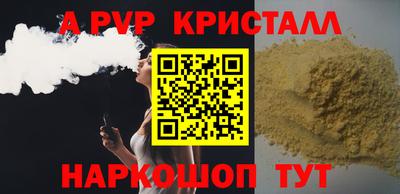 спиды Кингисепп