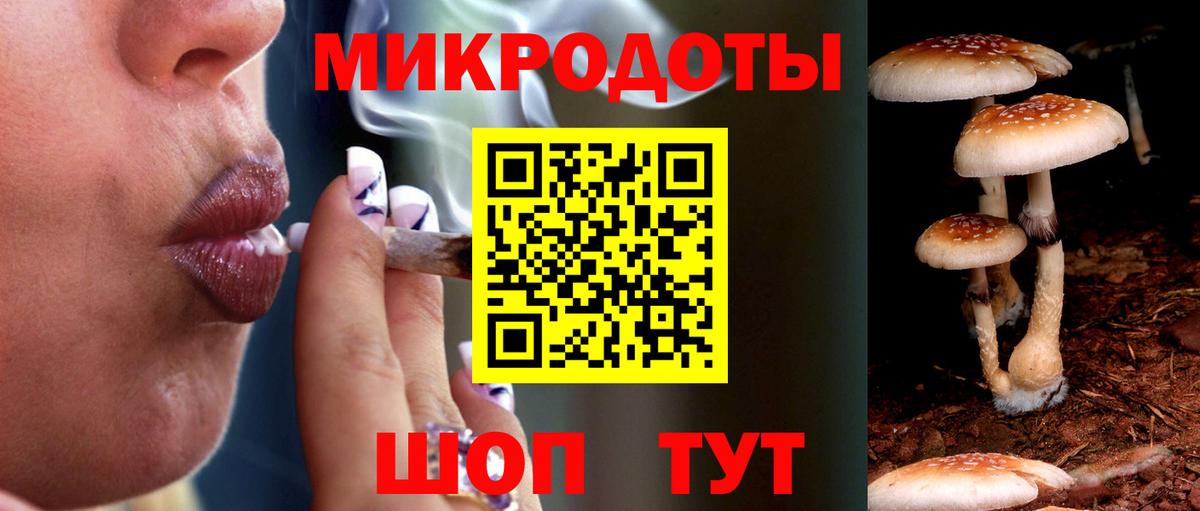 Галлюциногенные грибы мицелий Липецк